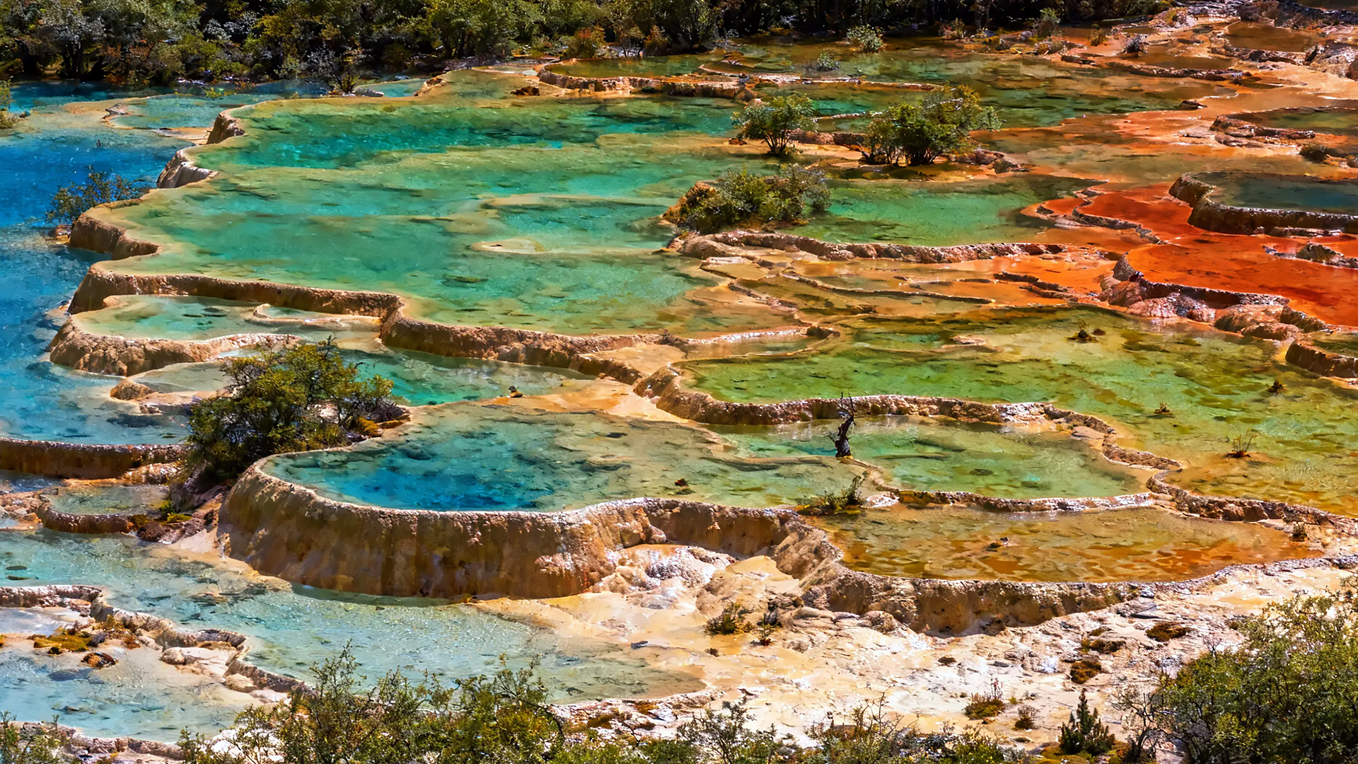 구채구+사천 청두 4박 5일